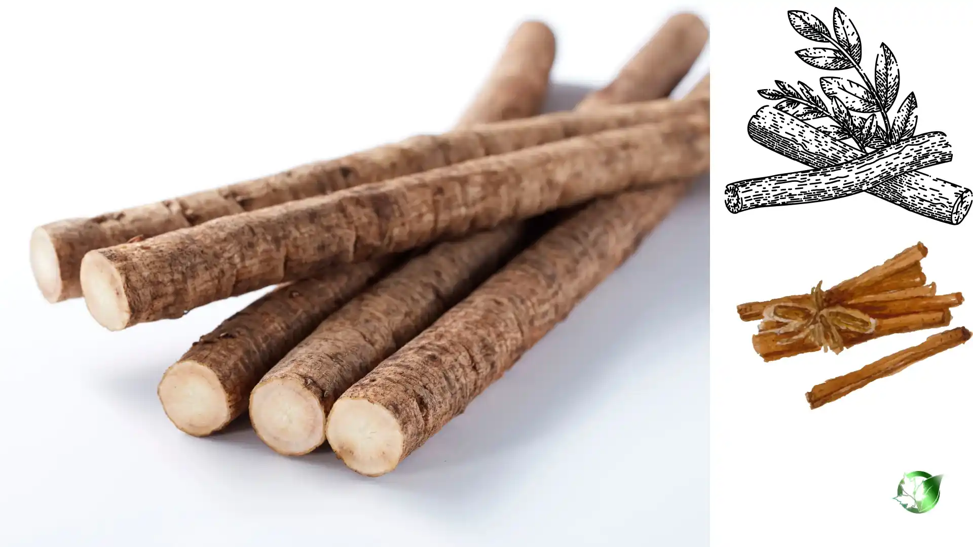 Commercial presentation of Licorice Root for wholesale product evaluation and buyer review.